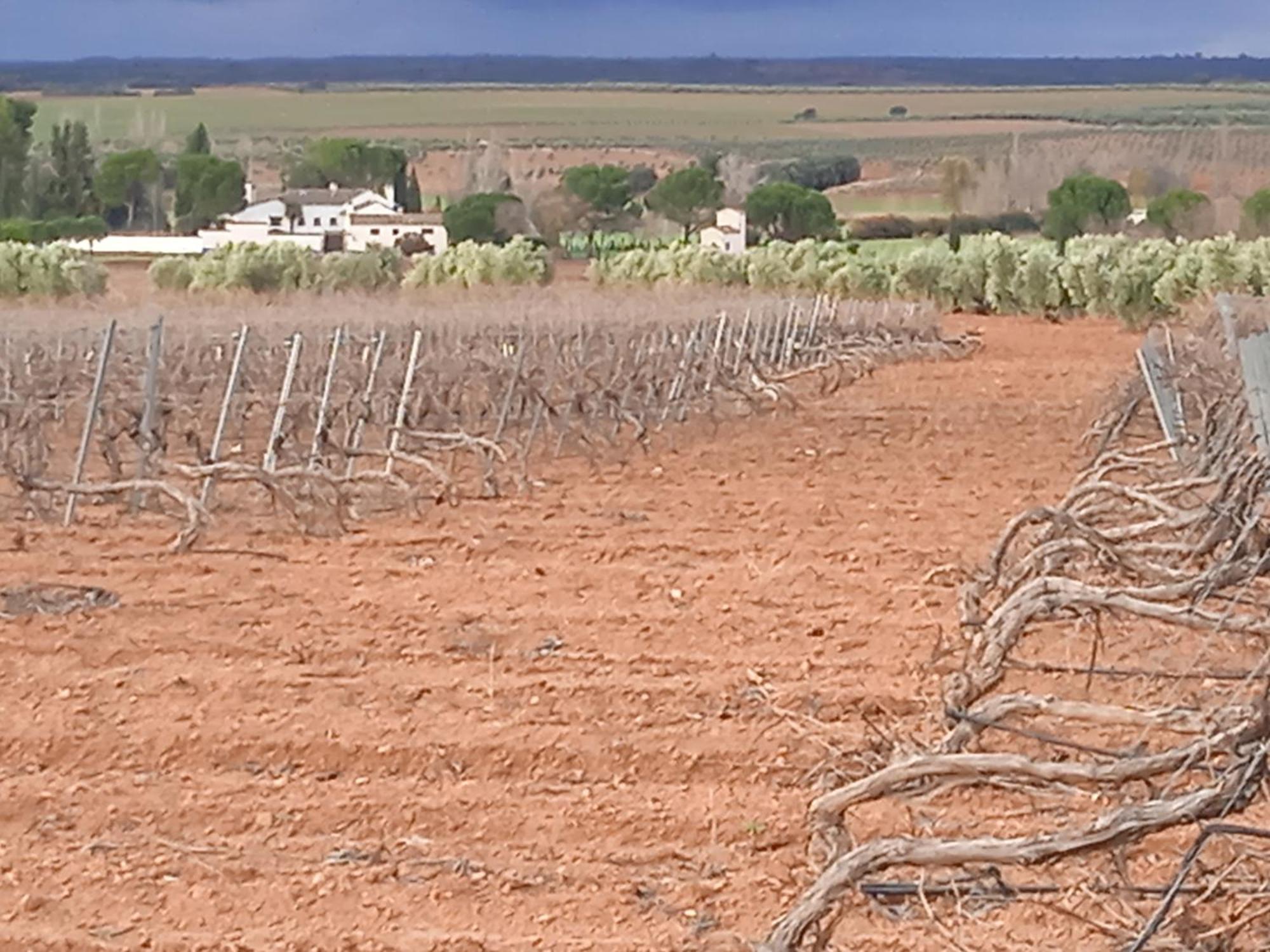 فيلانيوفا دي لوس إنفانتس Casa Rural Senorio De Quevedo المظهر الخارجي الصورة